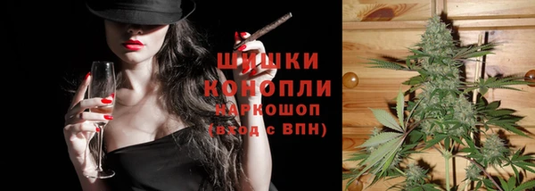spice Алзамай