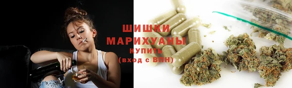 spice Алзамай