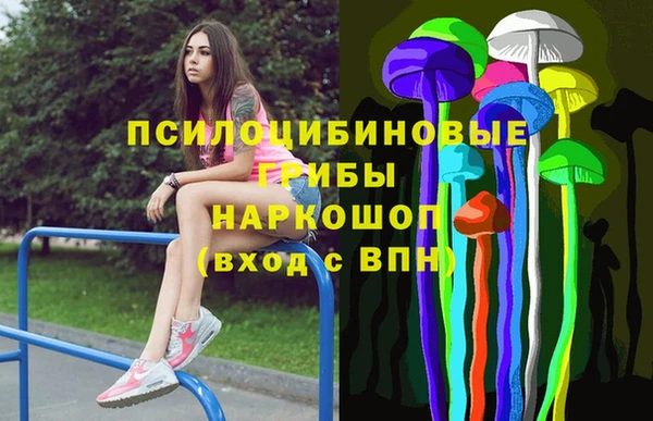 spice Алзамай