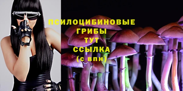 spice Алзамай